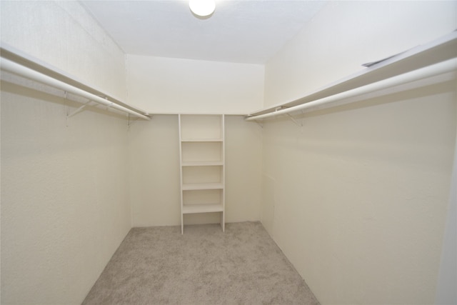 spacious closet with light carpet