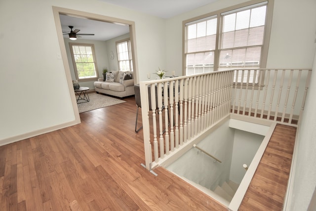 staircase featuring hardwood / wood-style flooring and ceiling fan