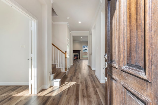 foyer entrance featuring ornamental molding and dark wood-type flooring