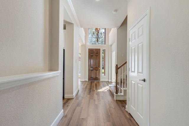 foyer featuring a towering ceiling and light wood-type flooring