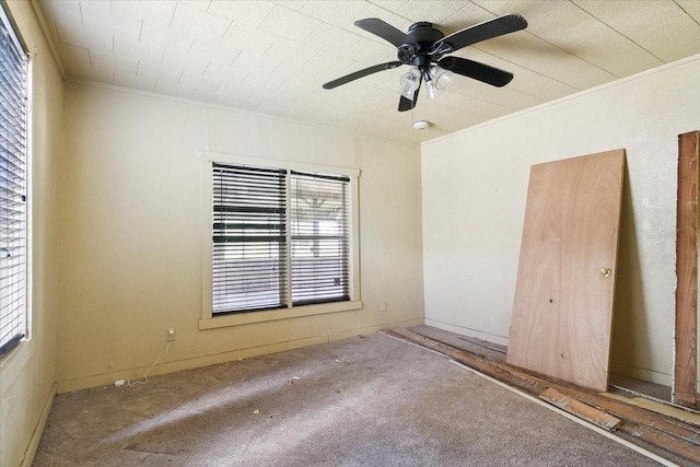 spare room with ceiling fan, carpet floors, and ornamental molding