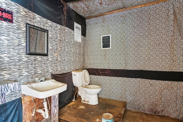 bathroom with toilet and sink