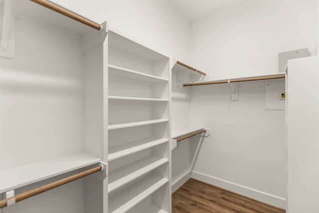 spacious closet with dark wood-type flooring