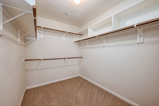 spacious closet featuring carpet