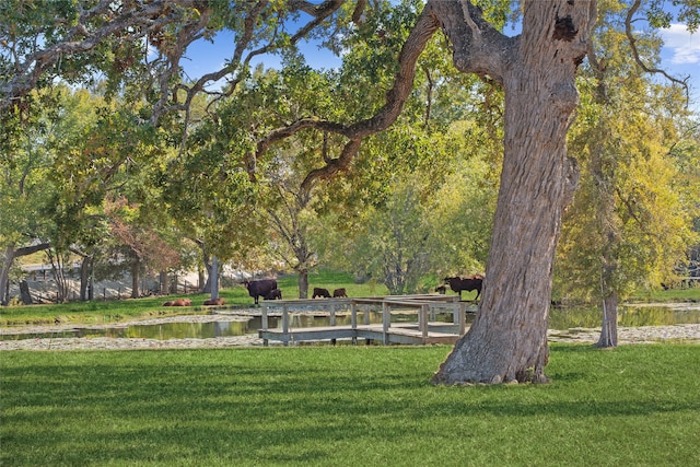 view of home's community featuring a water view and a lawn