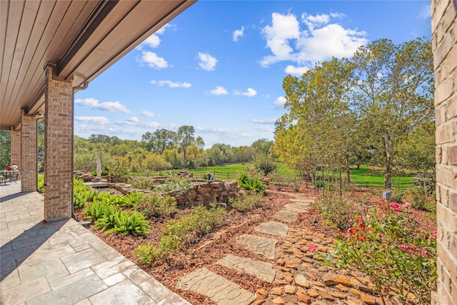 view of yard featuring a patio