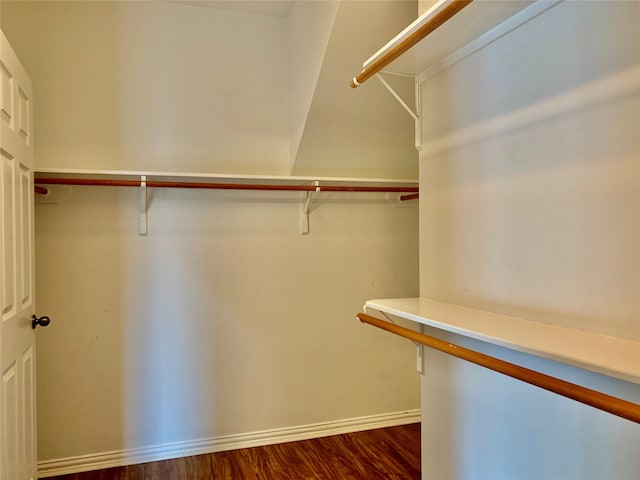 spacious closet featuring dark wood-type flooring