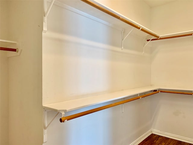 walk in closet featuring dark hardwood / wood-style floors