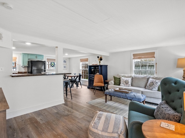 living room with hardwood / wood-style floors