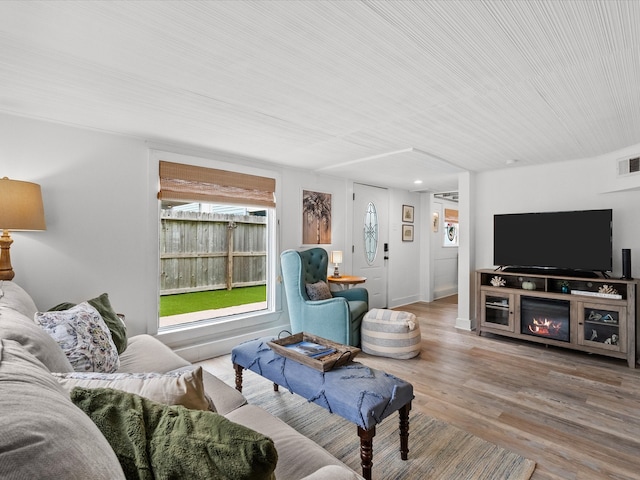 living room featuring a fireplace and hardwood / wood-style flooring