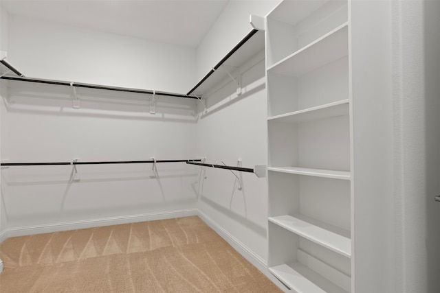 spacious closet featuring light carpet