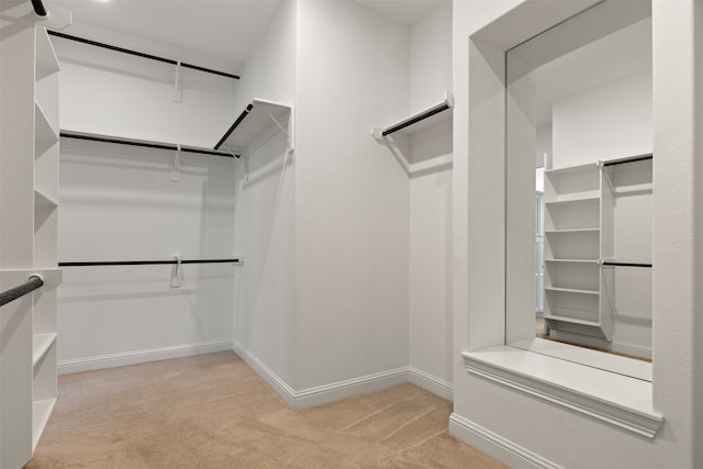 spacious closet featuring light colored carpet