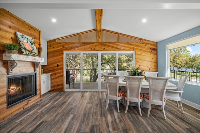 dining room featuring wood walls, a wealth of natural light, and dark hardwood / wood-style floors