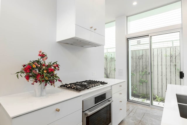 kitchen featuring white cabinetry, appliances with stainless steel finishes, ventilation hood, and a healthy amount of sunlight