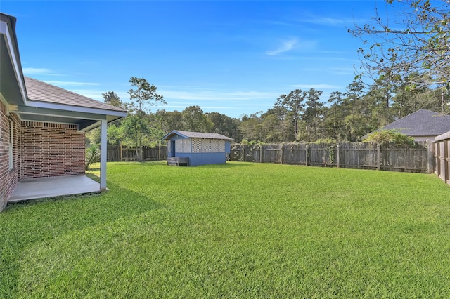 view of yard featuring a patio area