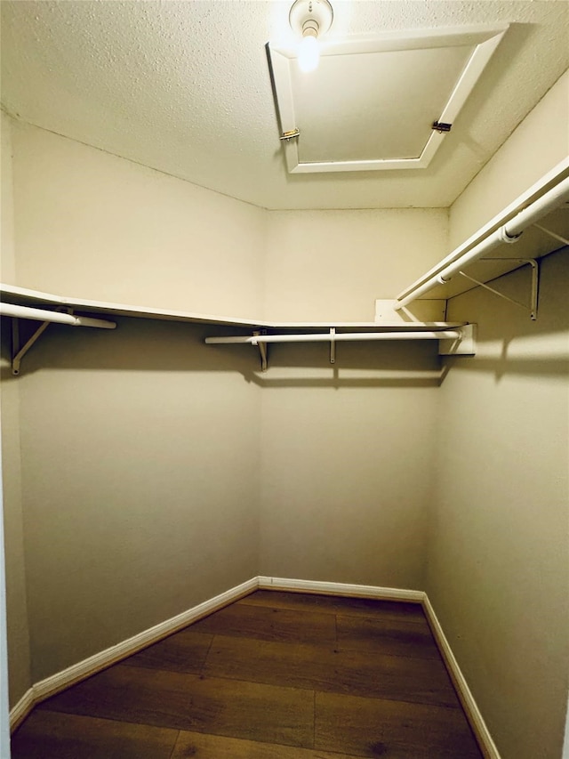 walk in closet with dark hardwood / wood-style floors