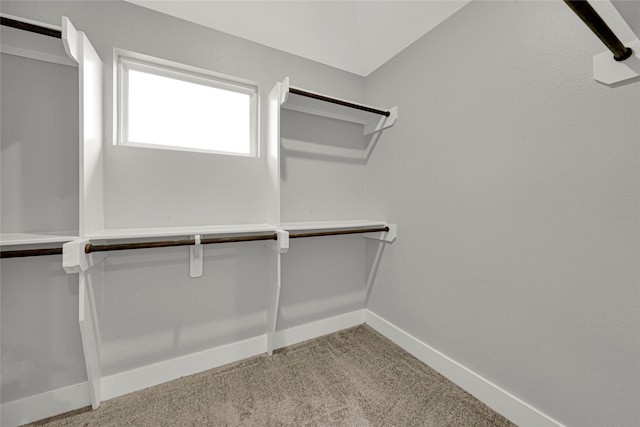 walk in closet with carpet