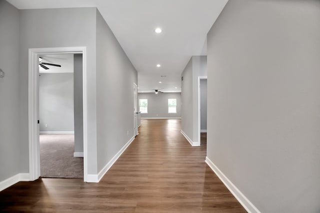 hallway with wood-type flooring