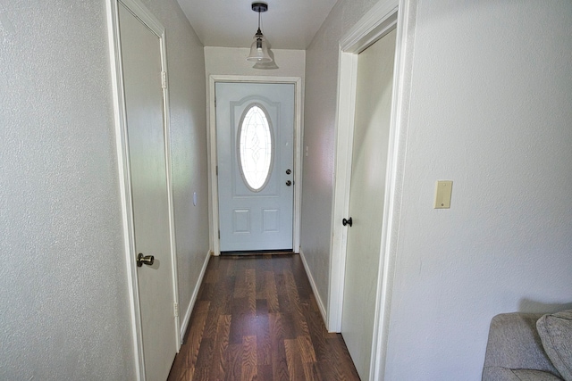 entryway featuring dark hardwood / wood-style flooring