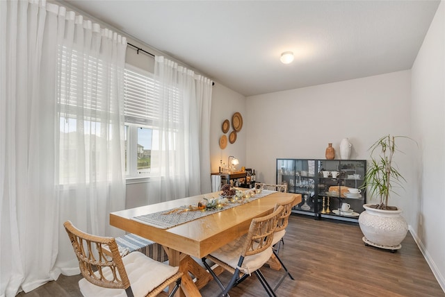 dining room featuring dark hardwood / wood-style flooring