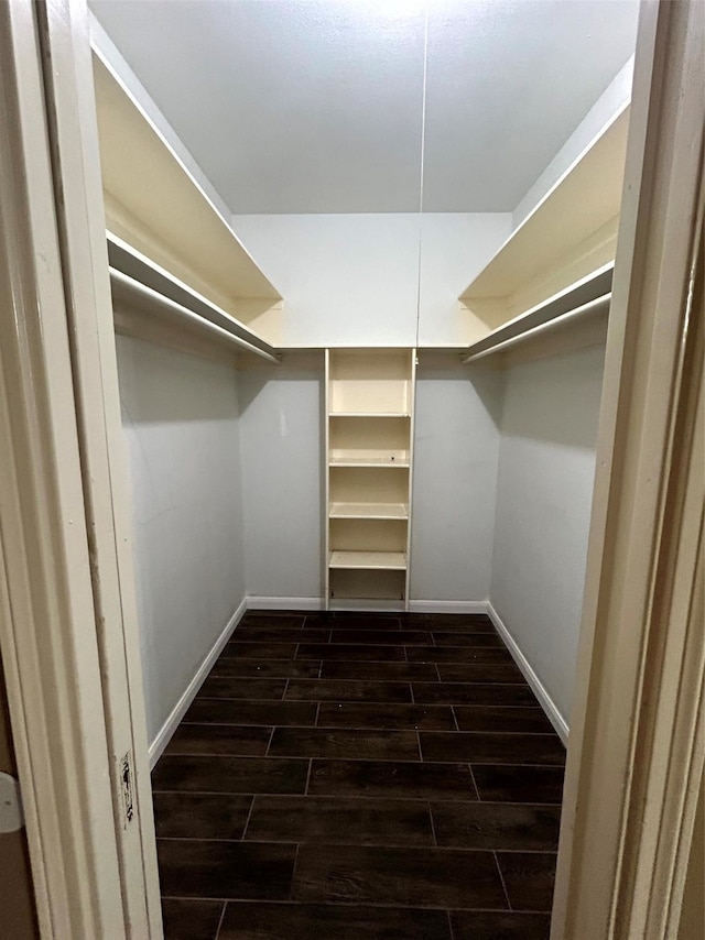 walk in closet with dark hardwood / wood-style flooring