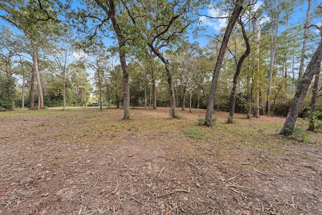 Listing photo 3 for 32622 Dogwood Trl, Magnolia TX 77355