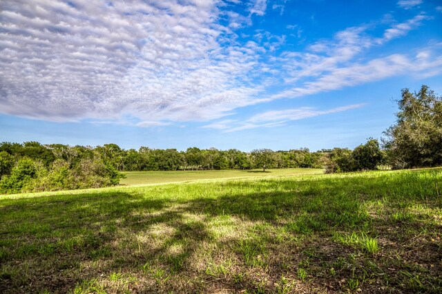 000 Dierking Rd, Brenham, TX 77833 - photo 11
