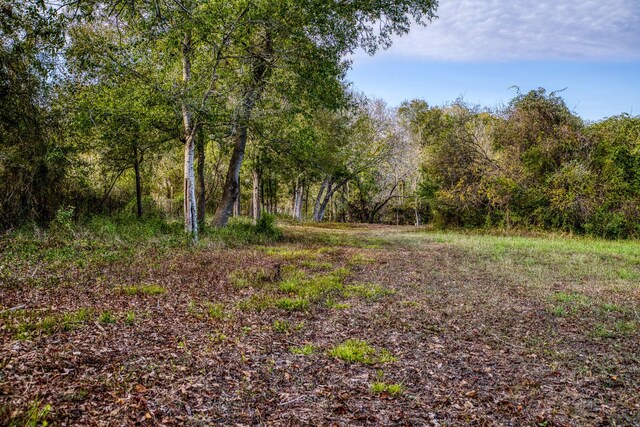 000 Dierking Rd, Brenham, TX 77833 - photo 36