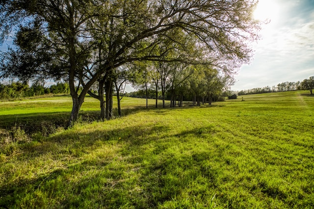 000 Dierking Rd, Brenham TX, 77833 land for sale