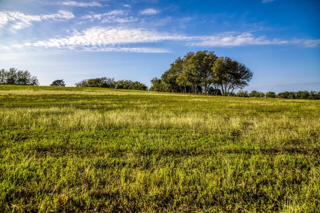 000 Dierking Rd, Brenham, TX 77833 - photo 23