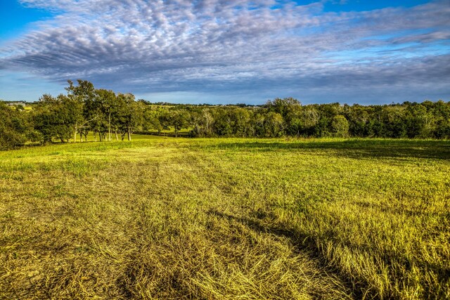 000 Dierking Rd, Brenham, TX 77833 - photo 28
