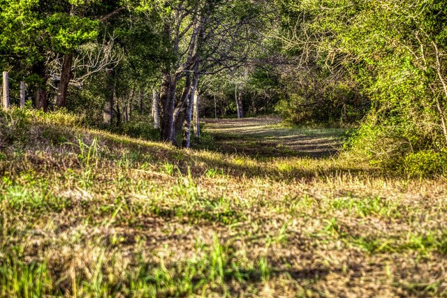000 Dierking Rd, Brenham, TX 77833 - photo 30