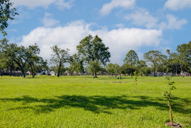 view of community featuring a yard