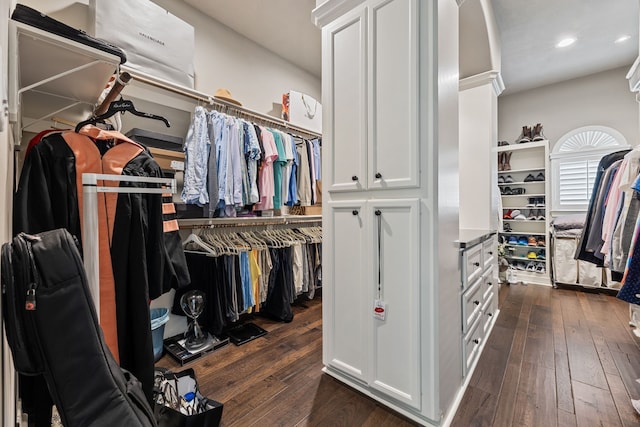 spacious closet with dark wood-type flooring