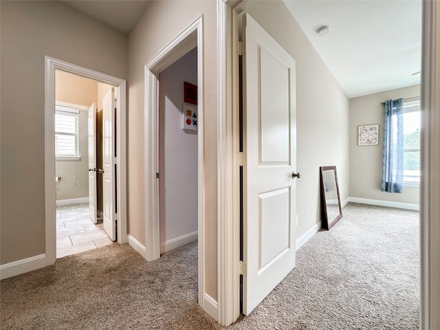 hall featuring a healthy amount of sunlight and light carpet