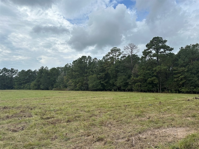 TBD County Road 3114, Buna TX, 77612 land for sale