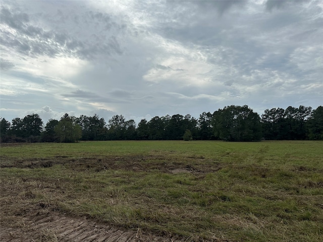 Listing photo 2 for TBD County Road 3114, Buna TX 77612