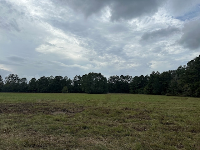 Listing photo 3 for TBD County Road 3114, Buna TX 77612