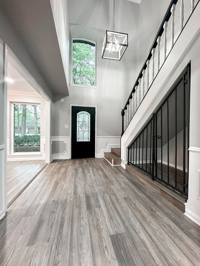 entrance foyer featuring wood-type flooring and a high ceiling