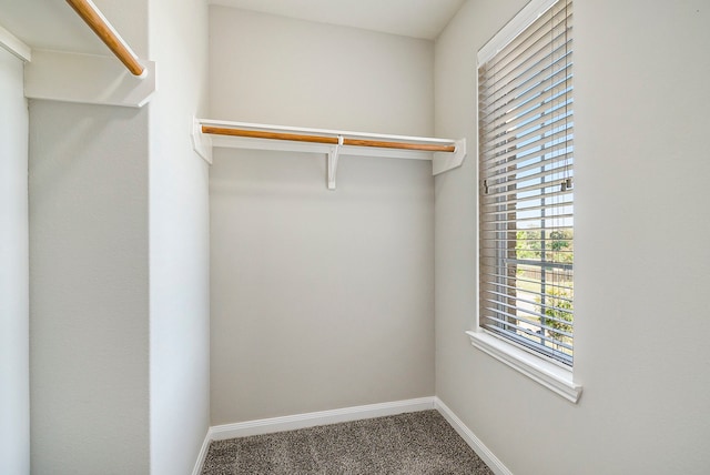 spacious closet with carpet flooring