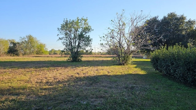 Listing photo 3 for 3119 4th St, Brookshire TX 77423