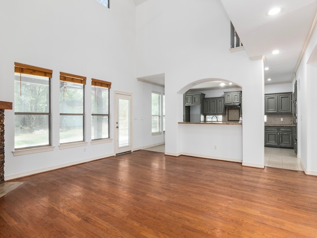 unfurnished living room with a towering ceiling, a healthy amount of sunlight, and light hardwood / wood-style flooring