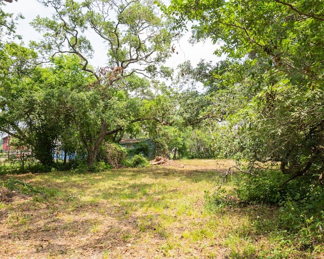 0 N Guinevere Dr, Sargent, TX 77414 - photo 1