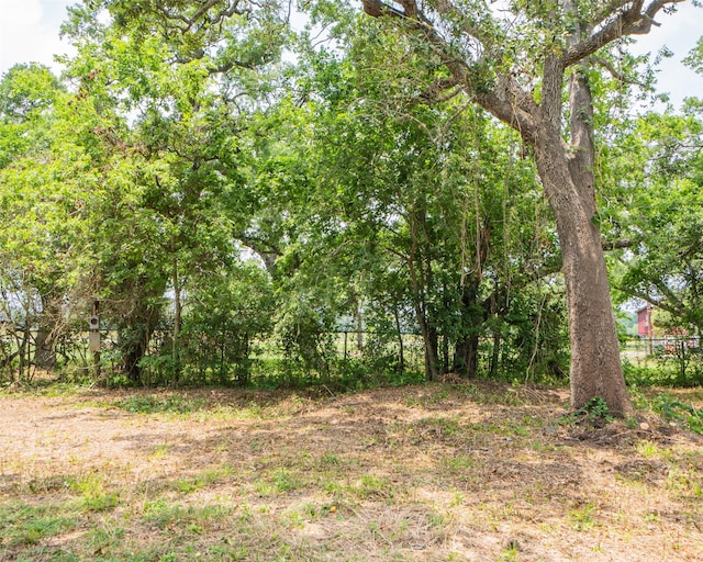 Listing photo 2 for 0 N Guinevere Dr, Sargent TX 77414