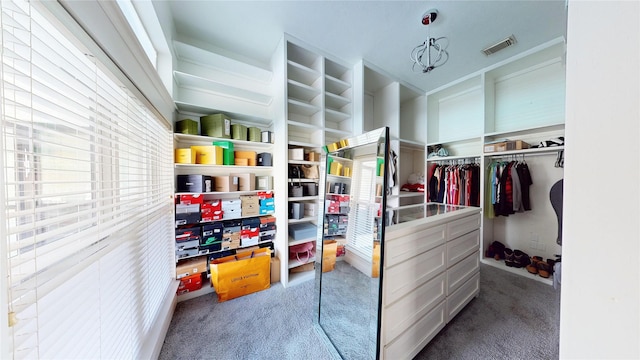 walk in closet with carpet floors