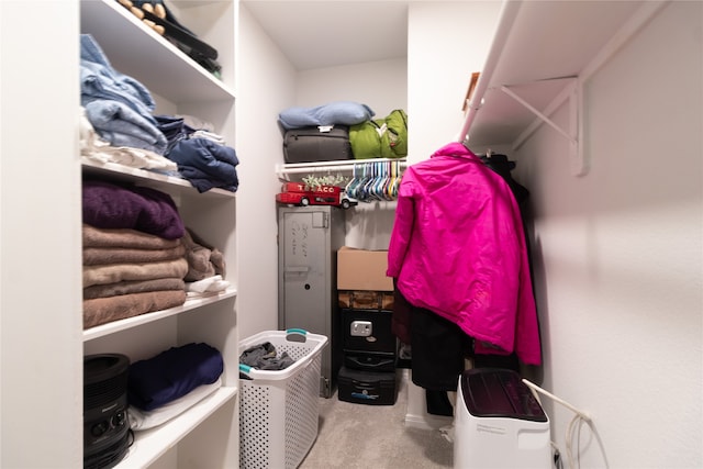 spacious closet featuring carpet