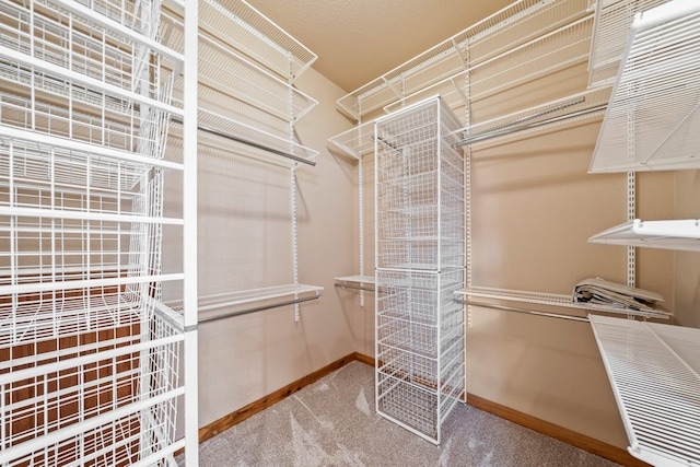 spacious closet with carpet floors