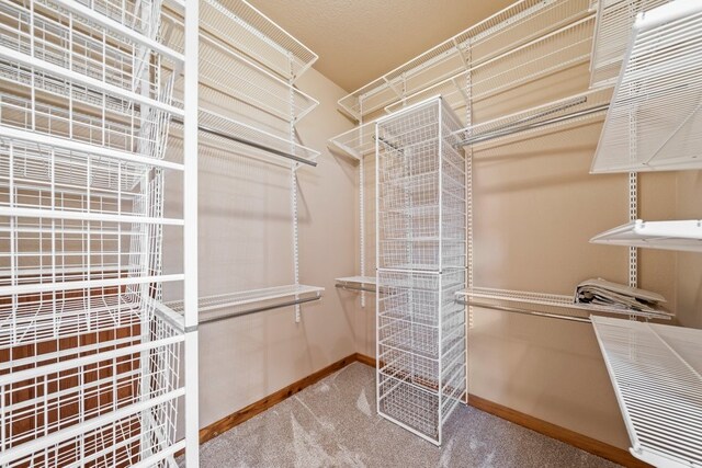 1174 Highland Terrace Dr, Canyon Lake, TX 78133 - spacious closet featuring carpet floors