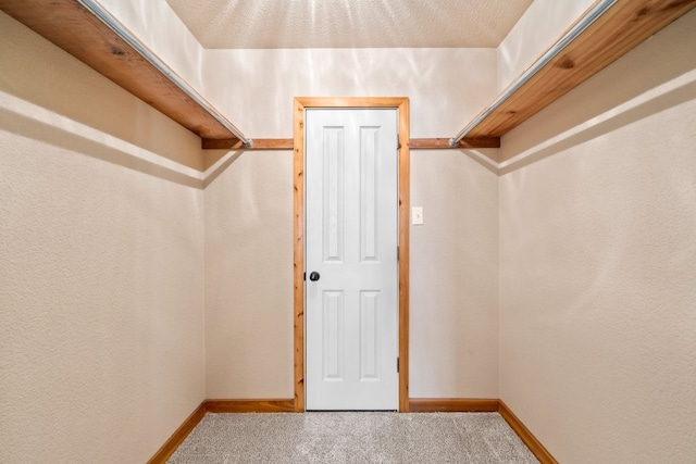 spacious closet with carpet flooring