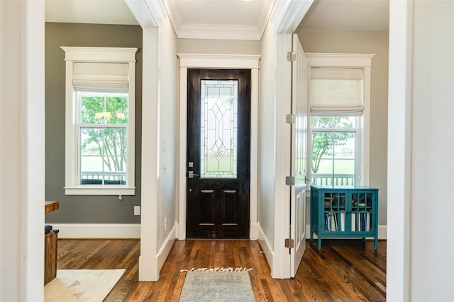 entryway featuring dark hardwood / wood-style flooring and crown molding